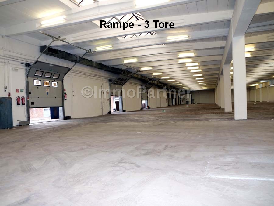 Lager- & Produktionshalle - Andienung: Rampe - renoviert - ImmoPartner